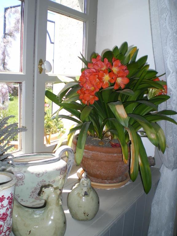 Au Bon Gre D'Hugoline Bed & Breakfast Blanzac  Exterior photo
